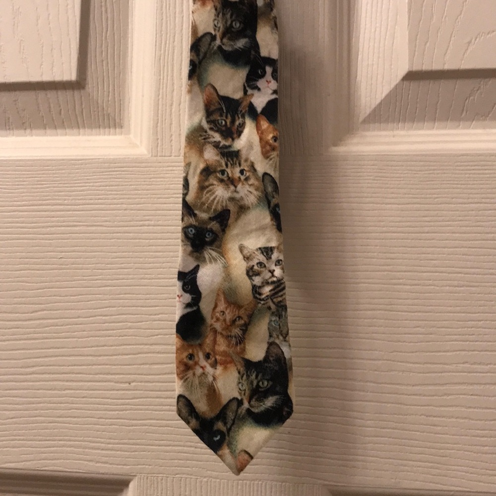{BDG} Cat Tie